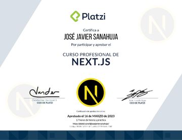 Profesional Nextjs